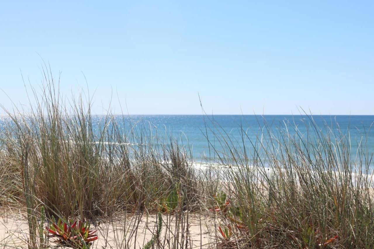 Green Element Guesthouse Costa de Caparica Zewnętrze zdjęcie